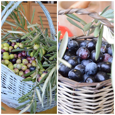 zeytin